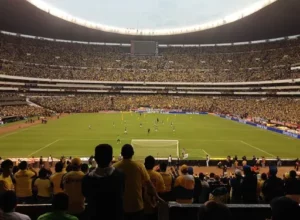 玫瑰谢幕,罗斯宣布退,生涯画上句,PA真人链接,PA真人官网地址,PA真人官方平台,PA真人入口站点