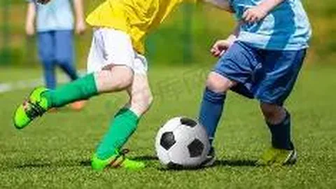 PA真人 产品 080441 c3j