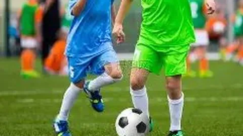 PA真人 产品 080452 08y