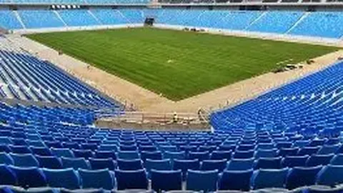 PA真人 资讯 141829 d0g