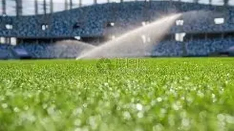 PA真人 产品 141907 hdz