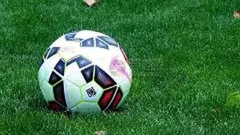 PA真人 产品 141922 rrl