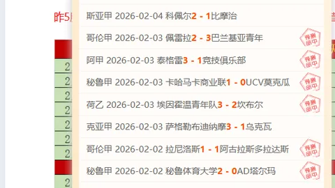 火箭升空梦：休斯顿火箭能否一飞冲天？